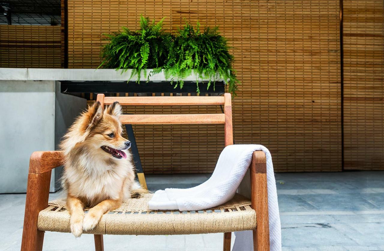 Hotel Carlota Meksika Dış mekan fotoğraf